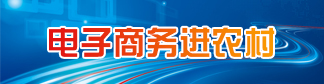 電子商務進農村(已歸檔)