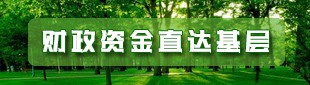 財政資金直達基層