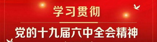 學習貫徹黨的十九屆六中全會精神（已歸檔）